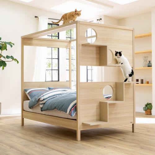 giuong-ngu-bed-with-cat-step-2
